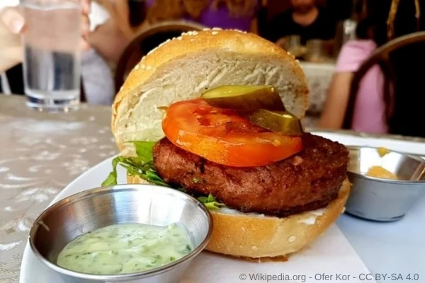 Vegetarischer Burger - aus dem Artikel - Die stärksten Fitness Aktien weltweit